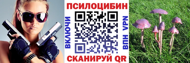 Галлюциногенные грибы Psilocybe  Туран 