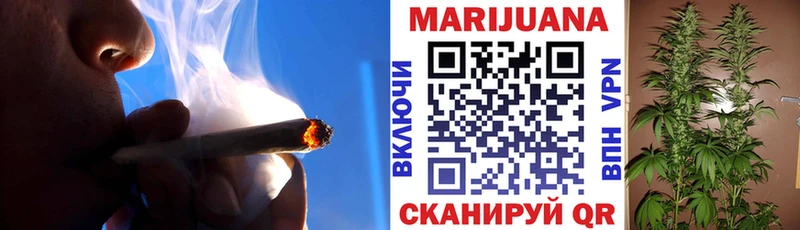 Канабис OG Kush  Туран 
